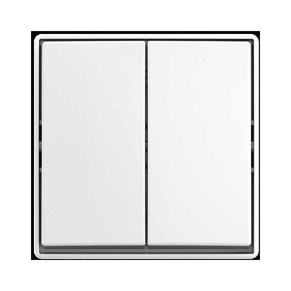 Busch-Jaeger Wippschalter AP 2601/5 J-524